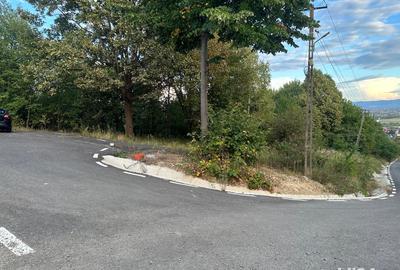 Teren de 1076 mp, în Tăuții-Măgherăuș - 4