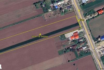 Teren de 16540 mp, în Săucești - 5