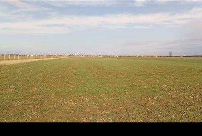 Teren de 2600 mp, în Sântion