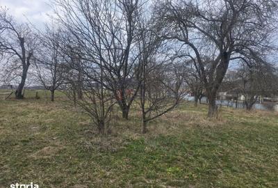 Teren de 4000 mp, în Mitocu Dragomirnei - 2