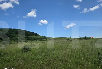 Teren de 5000 mp, în Dâmbul Rotund - 4