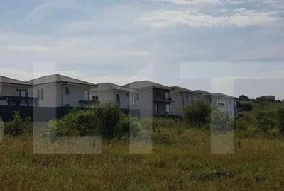 Teren de 7290 mp, în Dezmir - 5