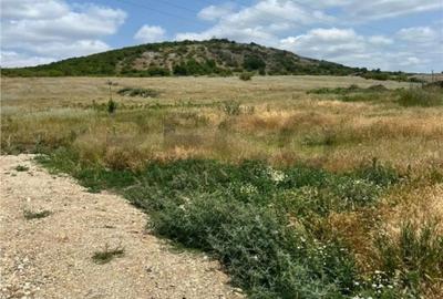 Teren de 502 mp, în Betfia - 4