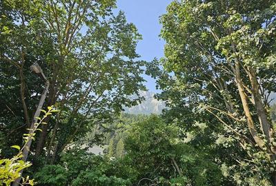 Vila cu vedere la Muntii Bucegi - 560 mpc si 963 mp teren - Zamora - 4