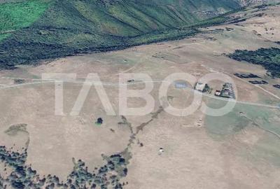 Teren de 3750 mp, în Paltin - 2