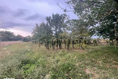 Casă cu 2 camere în Lipău - 4