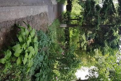 Apartament cu 2 camere decomandat în Băneasa - 1