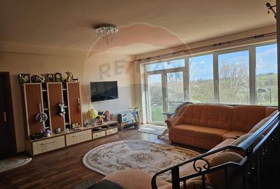 Casa cu teren 4800 mp si multiple posibilitati in Tureni - 6