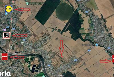 Teren de 1000 mp, în Copăceni - 3