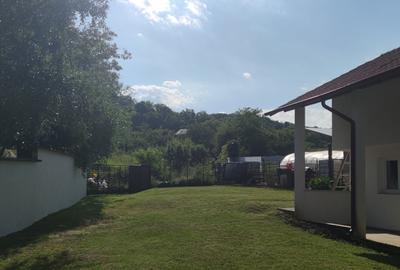 Casa spatioasa – Micesti, Arges, teren generos 2.500 mp, COMISION 0% - 3