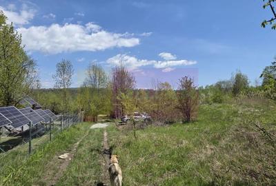 Teren Construcții intravilan de 1494 mp, în Șotrile - 20