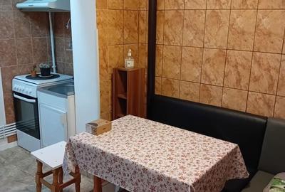 Garsonieră în Craiovița Nouă - 3