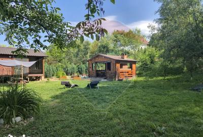 Casă cu 3 camere cu Teren 1268 Mp în Săpânța - 15