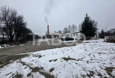 Teren intravilan 26000 mp deschidere 85 m POT27,9 CUT 0,5 - 4