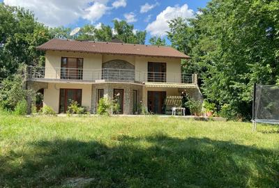 Proprietate inedita cu teren de 4400, si deschidere cu ponton pe Bega - 9