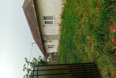 Casă cu 2 camere cu Teren 4191 Mp în Redea - 9