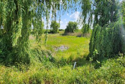 Spatiu industrial productie/ depozitare, Timiș - 27