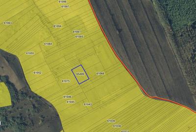 Teren de 3600 mp, în Dobrovăț