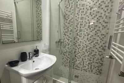 Apartament cu 2 camere de inchiriat in zona Blumana - 3