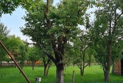 Casă cu 4 camere în Reghin - 5