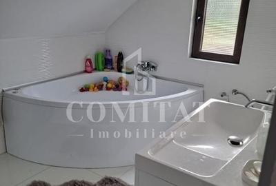 Casă individuală mobilată și utilată │ Făget - 9