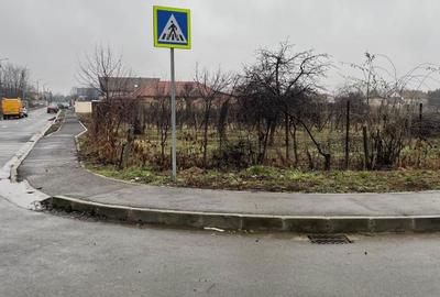 Spațiu comercial, în Paleu - 1