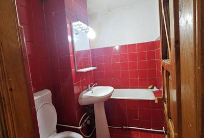 Apartament cu 2 camere semidecomandat în Lacu - 8