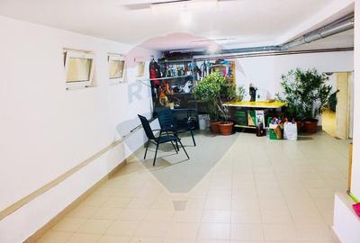 Casă / Vilă cu 6 camere de vânzare în zona Oncea - 17