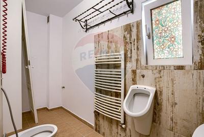 Apartament cu 1 camera de vanzare, confort sporit, in zona P-ta Garii - 8