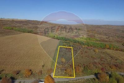 Teren Padureni (Chinteni), intravilan, parcelabil Teren Padureni (Chinteni), intravilan, parcelabil - 6