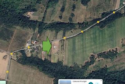 Teren extravilan arabil loc. Prunisor, jud. Mehedinti - 2