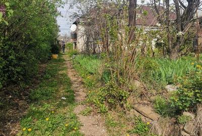 Casă cu Teren 1600 Mp în Dumbrăvești - 1