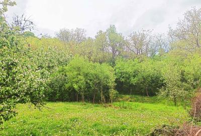 Teren de 1253 mp, în Ariceștii Zeletin - 1