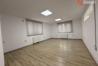 Vila individuala de inchiriat in Timisoara – zona Freidorf - 25