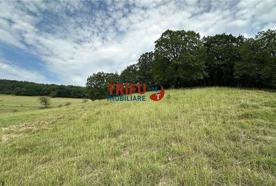 Teren cu priveliște și pădure pentru cabane de vânzare î Teren cu priveliște și pădure pentru cabane de vânzare î - 11