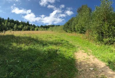 Teren vanzare Sandominic (Balan), Harghita - 4