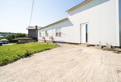 Spațiu industrial, de 200 mp, în Vișan - 7