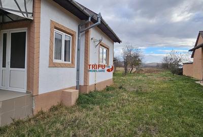 Casă cu 2 camere cu Teren 974 Mp în Micești - 12