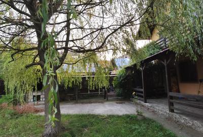 CASA  DE VACANTA - 15