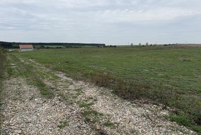 Spațiu comercial, în Păușa