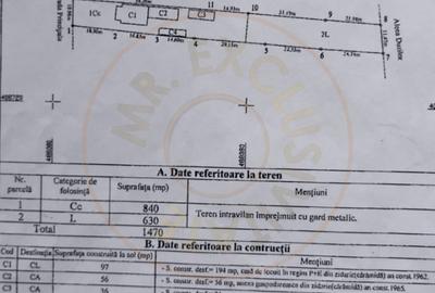 Casa cu farmec Neoromanesc - Pietrosani, Arges - 7