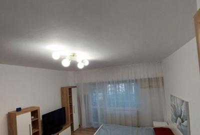 Garsoniera Vitan - 3