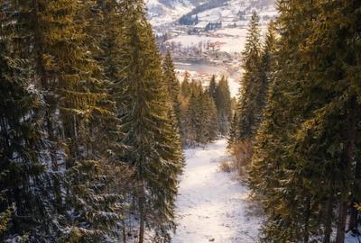 Teren de 7800 mp, în Lunca - 3