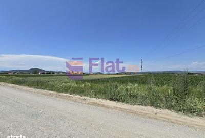 Spațiu comercial, în Hărman