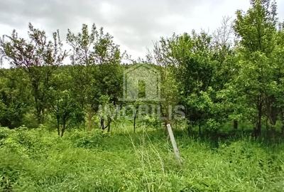 Teren Construcții intravilan de 994 mp, în Budiu Mic - 3