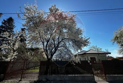 Casă cu 3 camere cu Teren 1000 Mp în Bâldana - 5