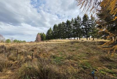 Teren de 4290 mp, în Gărâna - 2