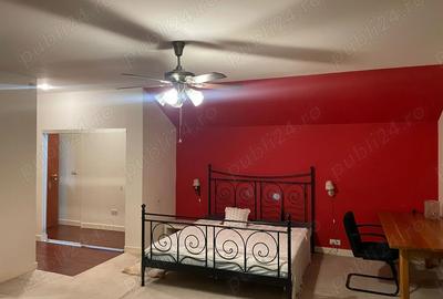 Casa de Vanzare-Stupinii Noi - 7