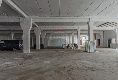 Spațiu industrial, 150 mp în Vest