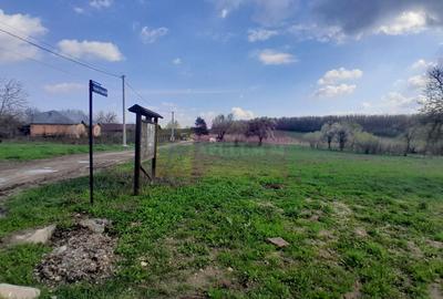 Teren Construcții intravilan de 3400 mp, în Buturugeni - 9